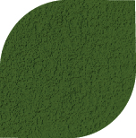 Olive Passion 1