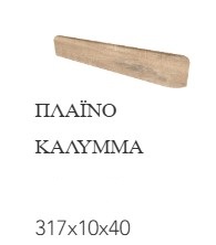 Amazónica 31
