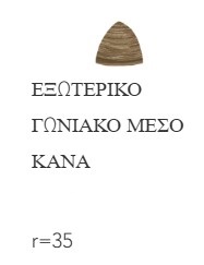 Taiga 31