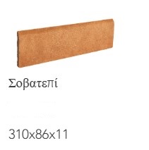 Gobi 11