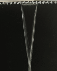 SUNFLOWERPLAIN 5640 5