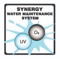 Swimspa Plunge Pool 6