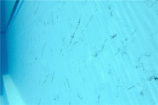 StoneFlex Royal 48