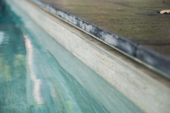 Larch Fresco