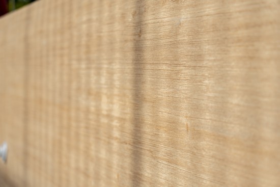 Larch Nature