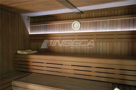 Sauna 12